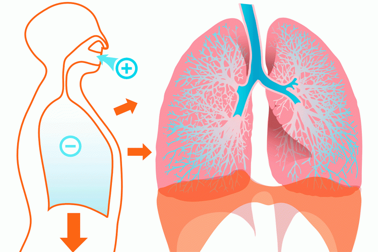 Enfermedades respiratorias en el ámbito laboral.