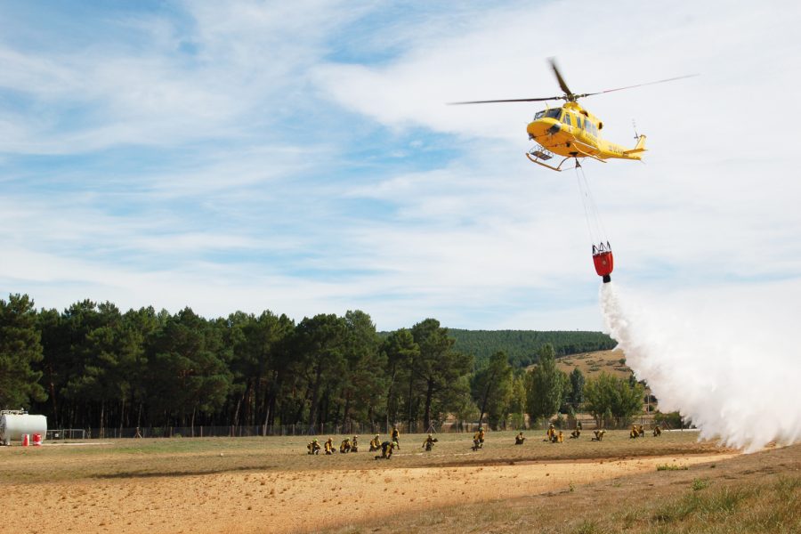 Bomberos forestales.