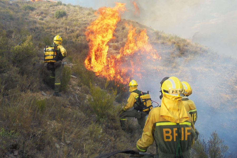 Bomberos forestales.