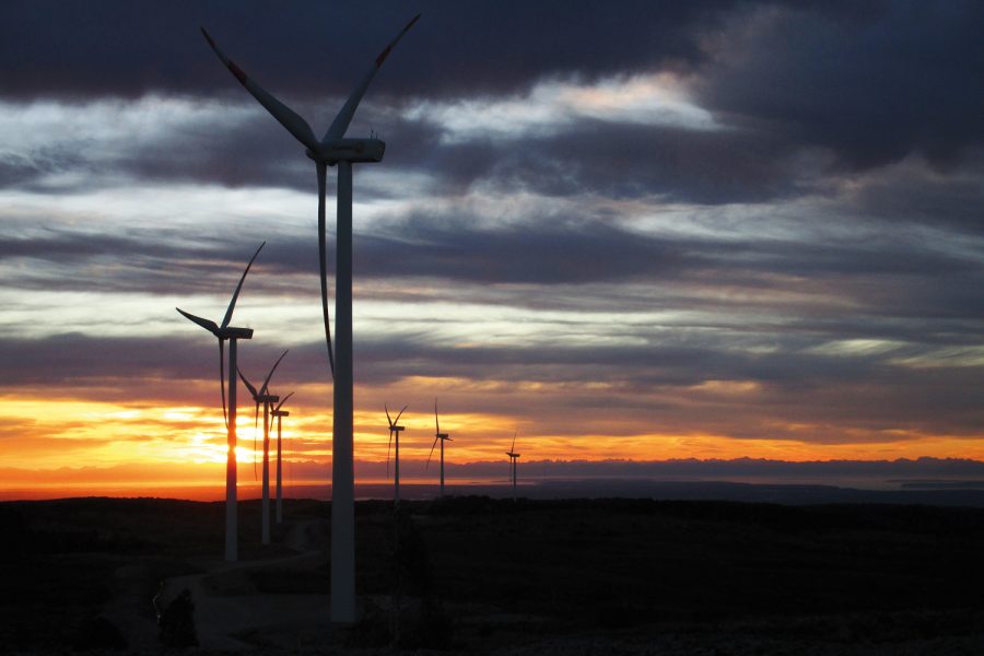 Sector de las energías renovables.