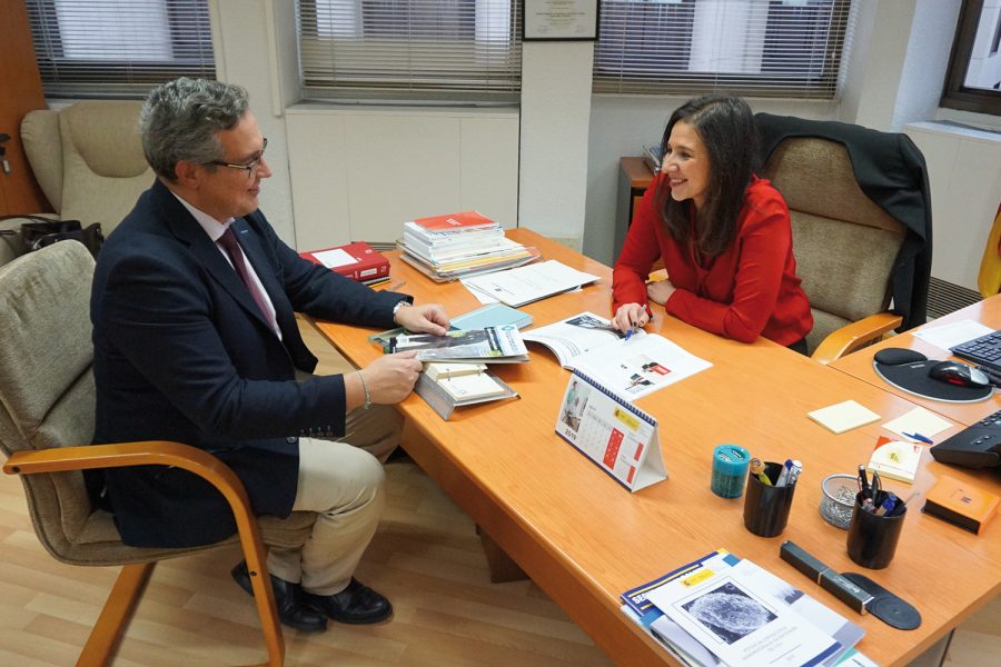 Entrevista María de Mingo. VI Plan Director de PRL.