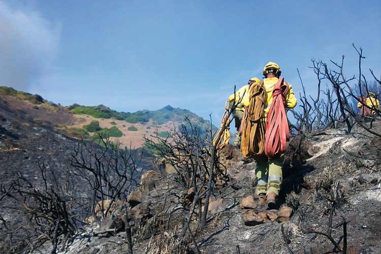 Incendios forestales.