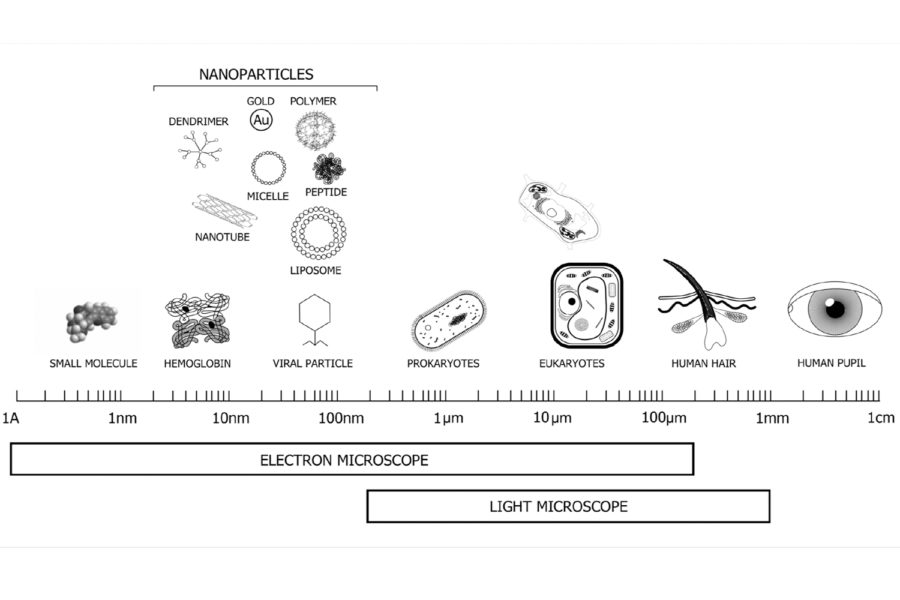 Enfermedades por nanotubos.