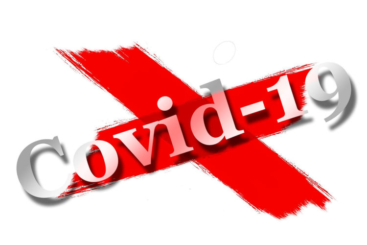 consejo asesor covid-19