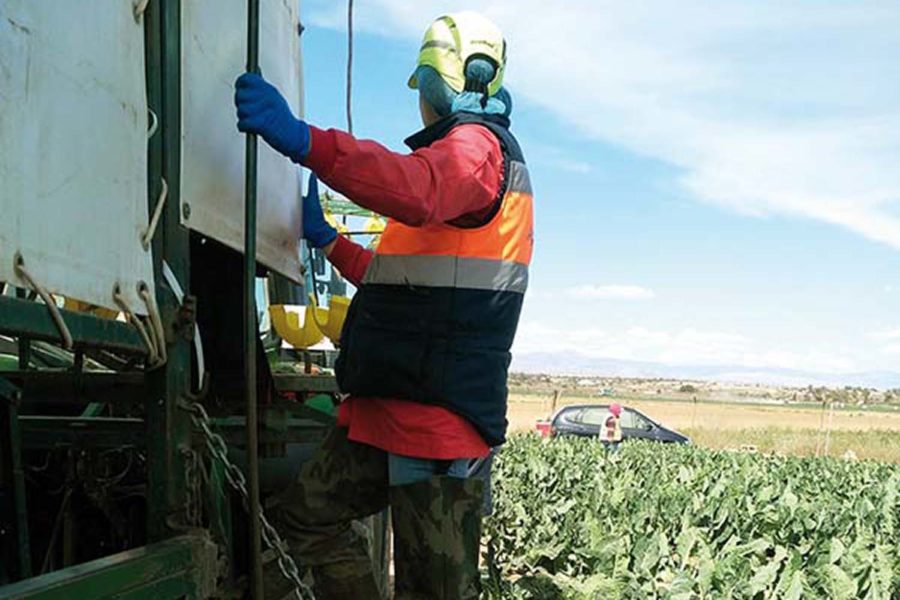 Protección para una trabajadora embarazada