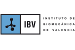 IBV logo