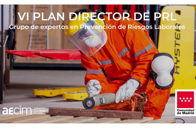 VI PLAN DIRECTOR DE PRL - Grupo de expertos Linkedin