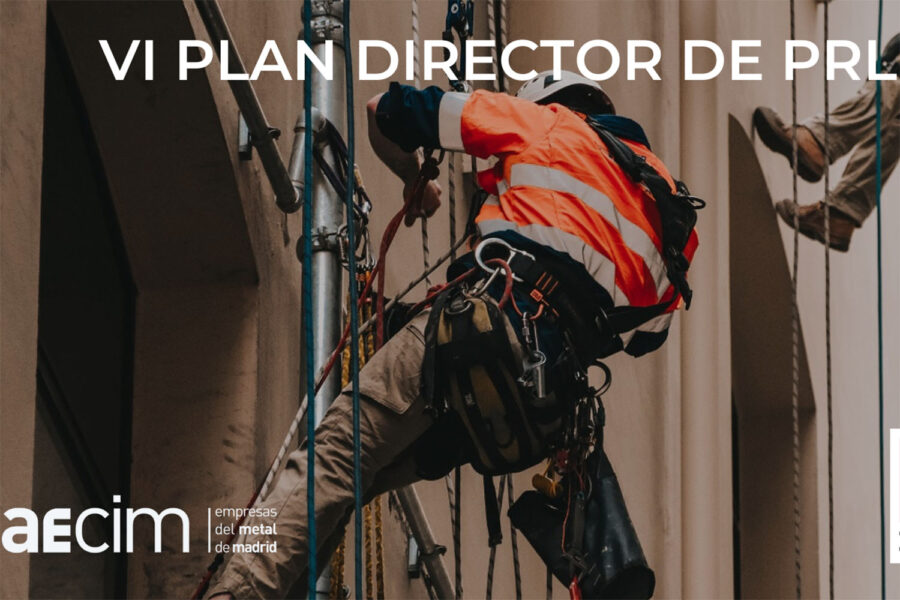 VI PLAN DIRECTOR DE PRL - Trabajos en altura