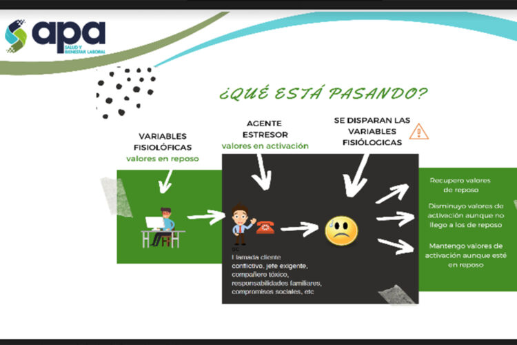 apa