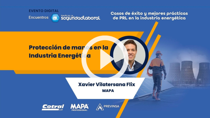 Xavier Vilatersana Flix, de Mapa Professional.