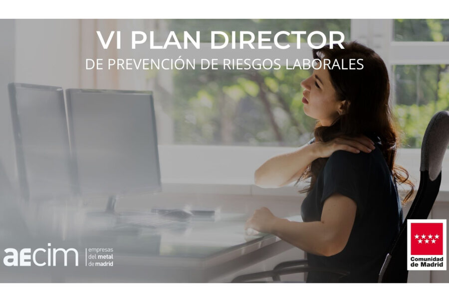 VI PLAN DIRECTOR 2022 - Riesgos Ergonómicos