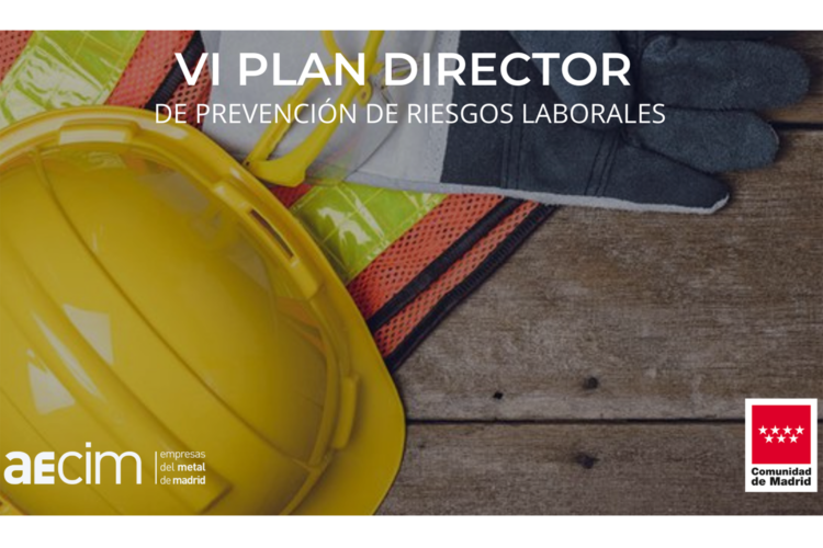 VI PLAN DIRECTOR uso de EPIs