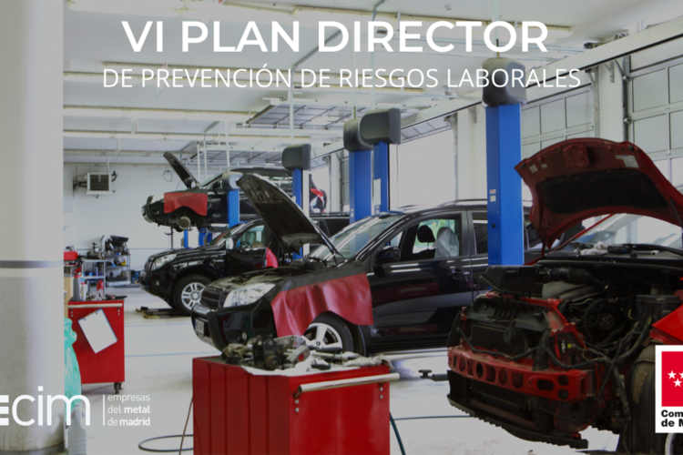 VI Plan director 2022