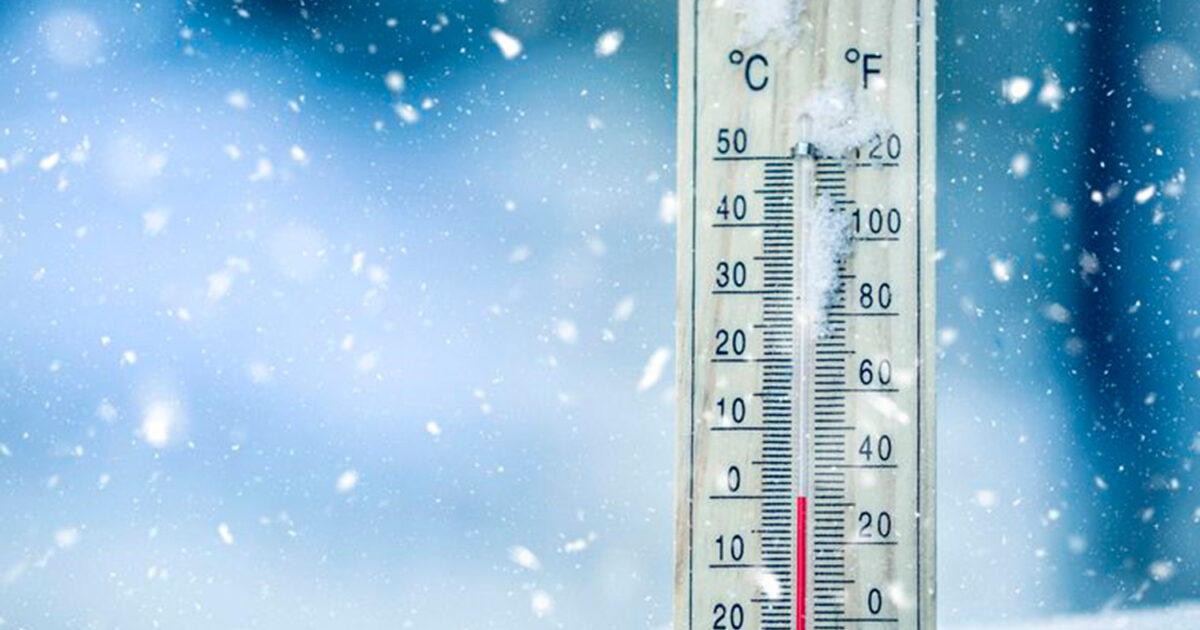 Calzado de seguridad para frio extremo sales