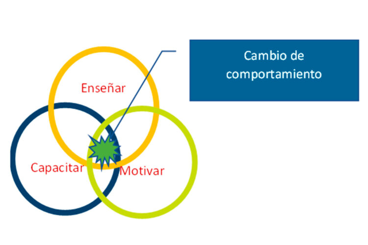 Sin-título-1 (1)