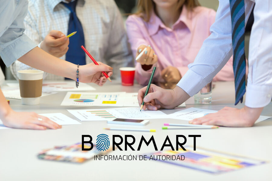 Grupo Borrmart SEO