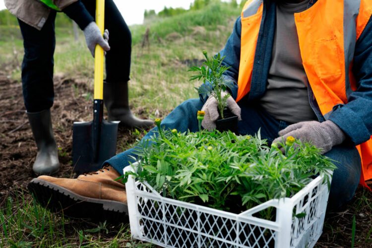 Seguridad-en-la-agricultura