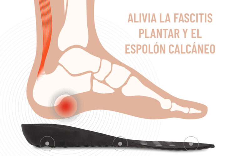 zapatillas-de-seguridad-paredes-seguridad-neo